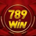 789Win25 com – Sáng tạo logo thưởng ngay 5 tỷ tiền mặt